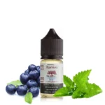 سالت بلوبری و نعنا رایپ ویپ | RIPE VAPES BLUEBERRY MINT