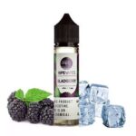جوس تمشک سیاه یخ رایپ ویپ | RIPE VAPES BLACKBERRY ICE