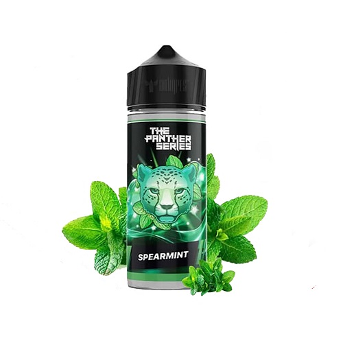 دکتر ویپ جوس نعنا 120 میل | DR.VAPES SPEARMINT 120ML